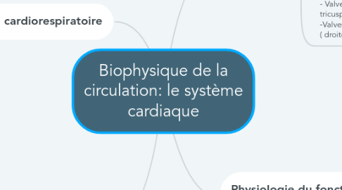 Mind Map: Biophysique de la circulation: le système cardiaque