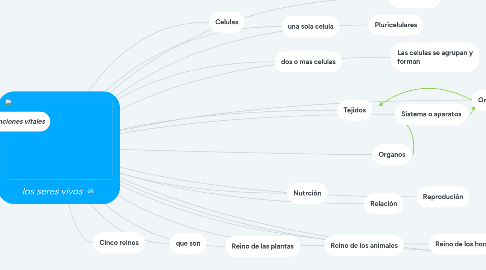 Mind Map: los seres vivos