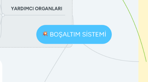 Mind Map: BOŞALTIM SİSTEMİ