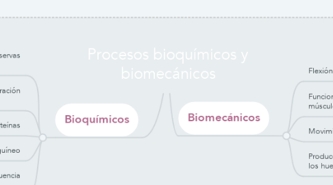 Mind Map: Procesos bioquímicos y biomecánicos