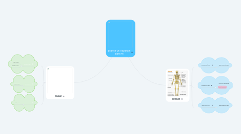 Mind Map: DESTEK VE HAREKET SİSTEMİ