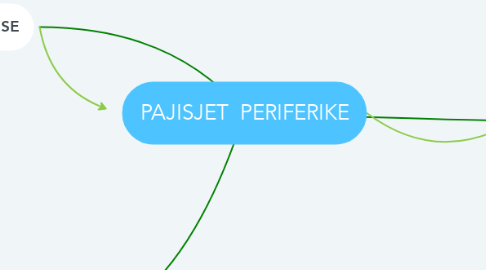 Mind Map: PAJISJET  PERIFERIKE