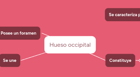 Mind Map: Hueso occipital