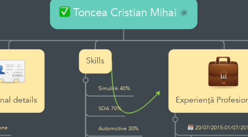 Mind Map: Toncea Cristian Mihai