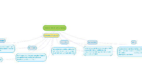 Mind Map: Reinos de la naturaleza