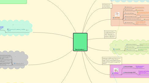 Mind Map: Tipos de cáncer