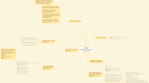 Mind Map: DISEÑO Y ADMINISTRACIÓN DE SERVICIOS