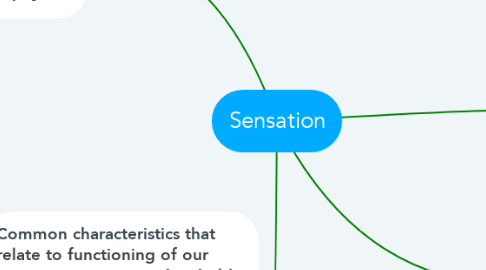 Mind Map: Sensation