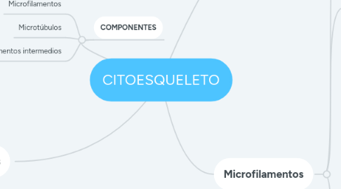 Mind Map: CITOESQUELETO