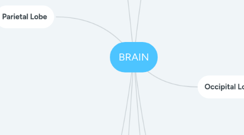 Mind Map: BRAIN