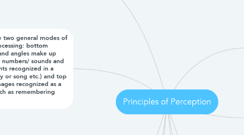 Mind Map: Principles of Perception