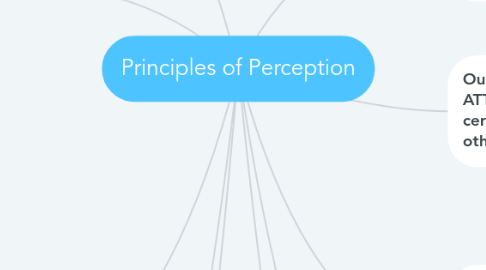 Mind Map: Principles of Perception