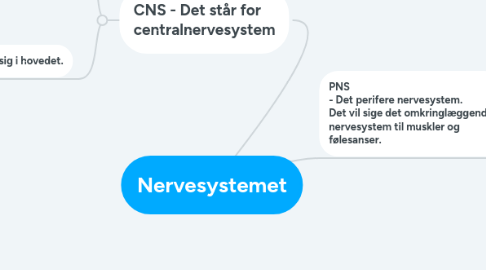 Mind Map: Nervesystemet