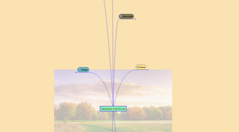 Mind Map: Природные зоны России