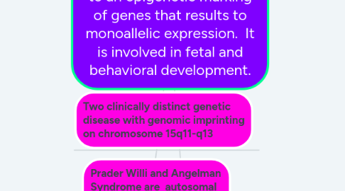 Mind Map: Genomic Imprinting-refers to an epigenetic marking of genes that results to monoallelic expression.  It is involved in fetal and behavioral development.