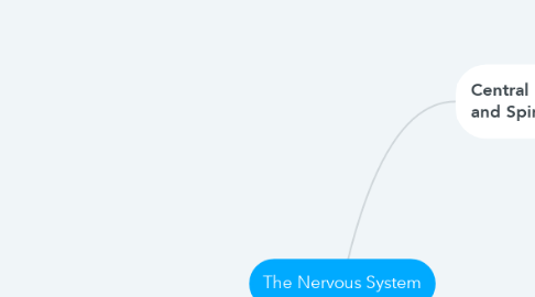 Mind Map: The Nervous System