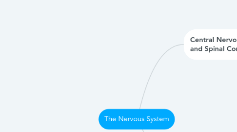 Mind Map: The Nervous System