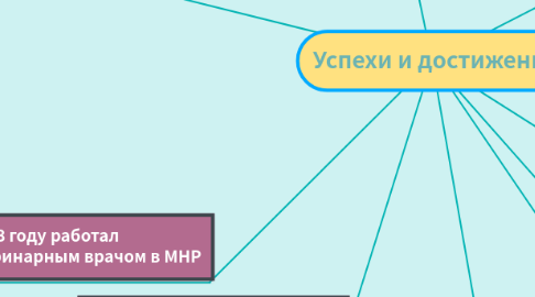 Mind Map: Успехи и достижения