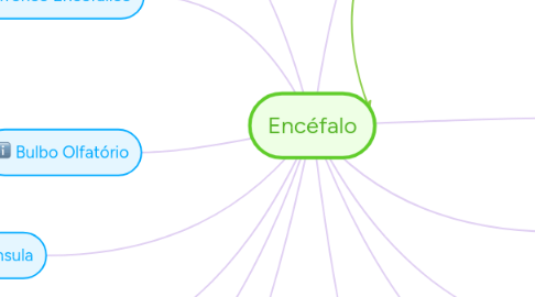 Mind Map: Encéfalo