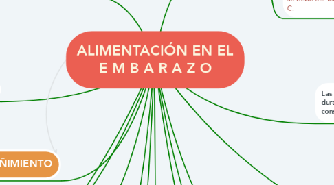 Mind Map: ALIMENTACIÓN EN EL E M B A R A Z O
