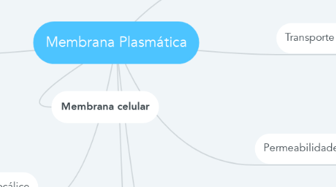 Mind Map: Membrana Plasmática