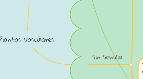 Mind Map: Plantas Vasculares