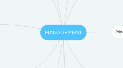 Mind Map: MANAGEMENT