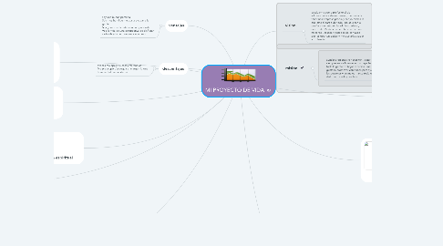 Mind Map: MI PROYECTO DE VIDA