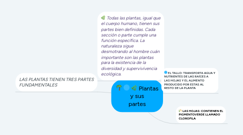 Mind Map: Plantas y sus partes