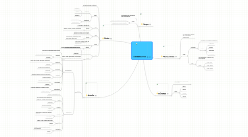 Mind Map: LOS SERES VIVOS