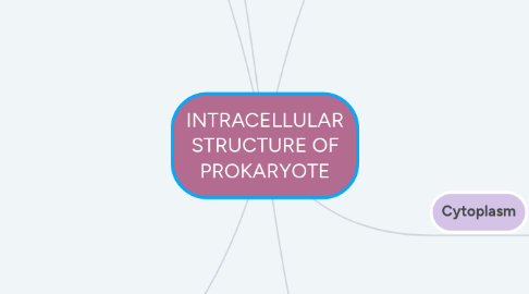 Mind Map: INTRACELLULAR STRUCTURE OF PROKARYOTE