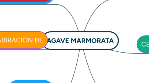 Mind Map: AGAVE MARMORATA