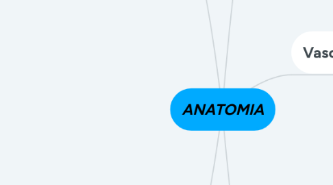 Mind Map: ANATOMIA