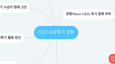 Mind Map: CEO 수강후기 강화