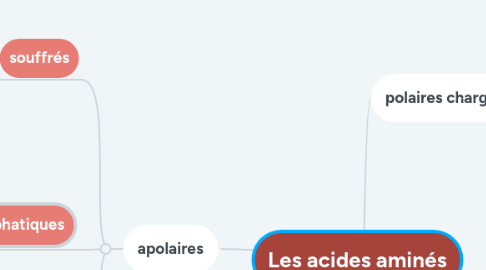 Mind Map: Les acides aminés