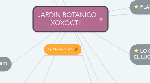 Mind Map: JARDIN BOTANICO XOXOCTIL