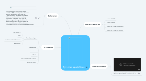 Mind Map: Système squeletique