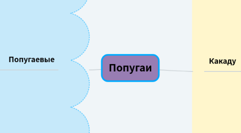 Mind Map: Попугаи