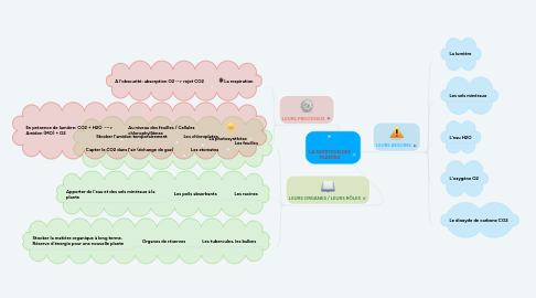 Mind Map: LA NUTRITION DES PLANTES