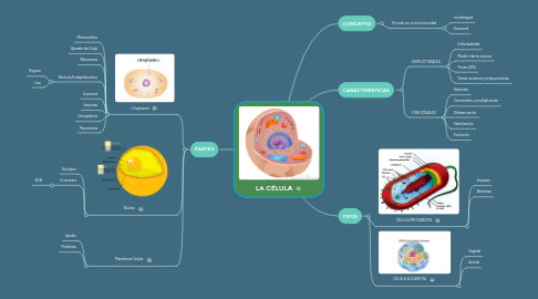 Mind Map: LA CÉLULA