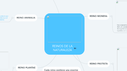 Mind Map: REINOS DE LA NATURALEZA