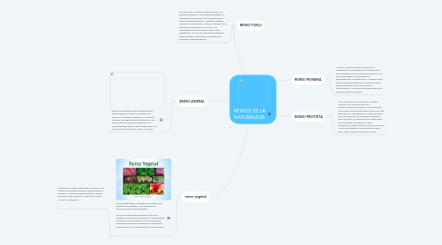 Mind Map: REINOS DE LA NATURALEZA