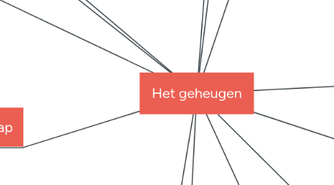 Mind Map: Het geheugen