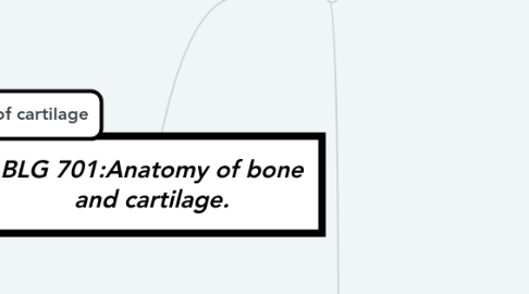 Mind Map: BLG 701:Anatomy of bone and cartilage.