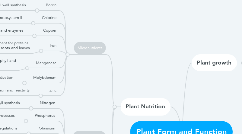 Mind Map: Plant Form and Function