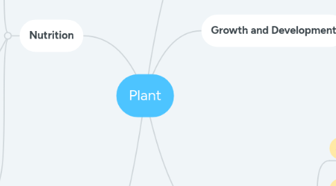 Mind Map: Plant