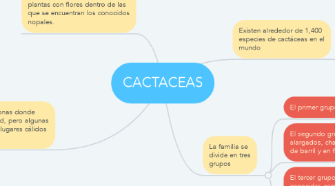 Mind Map: CACTACEAS
