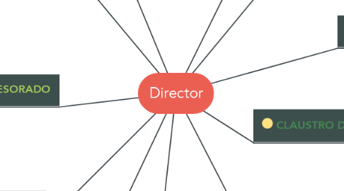 Mind Map: Director