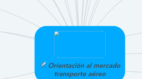 Mind Map: Orientación al mercado transporte aéreo