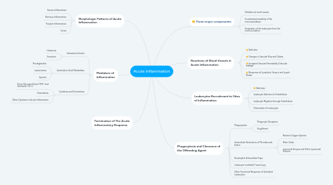 Mind Map: Acute Inflammation